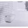 Унитаз-биде LAUFEN CLEANET NAVIA подвесной безободковый 8.2060.1.400.000.1